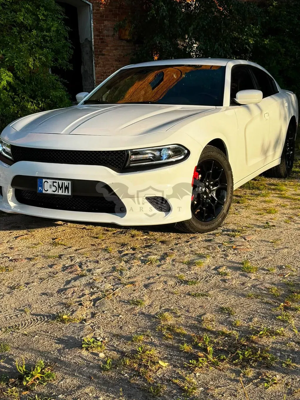 Dodge Charger 2015