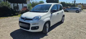 Fiat Panda III (2011-) 2019
