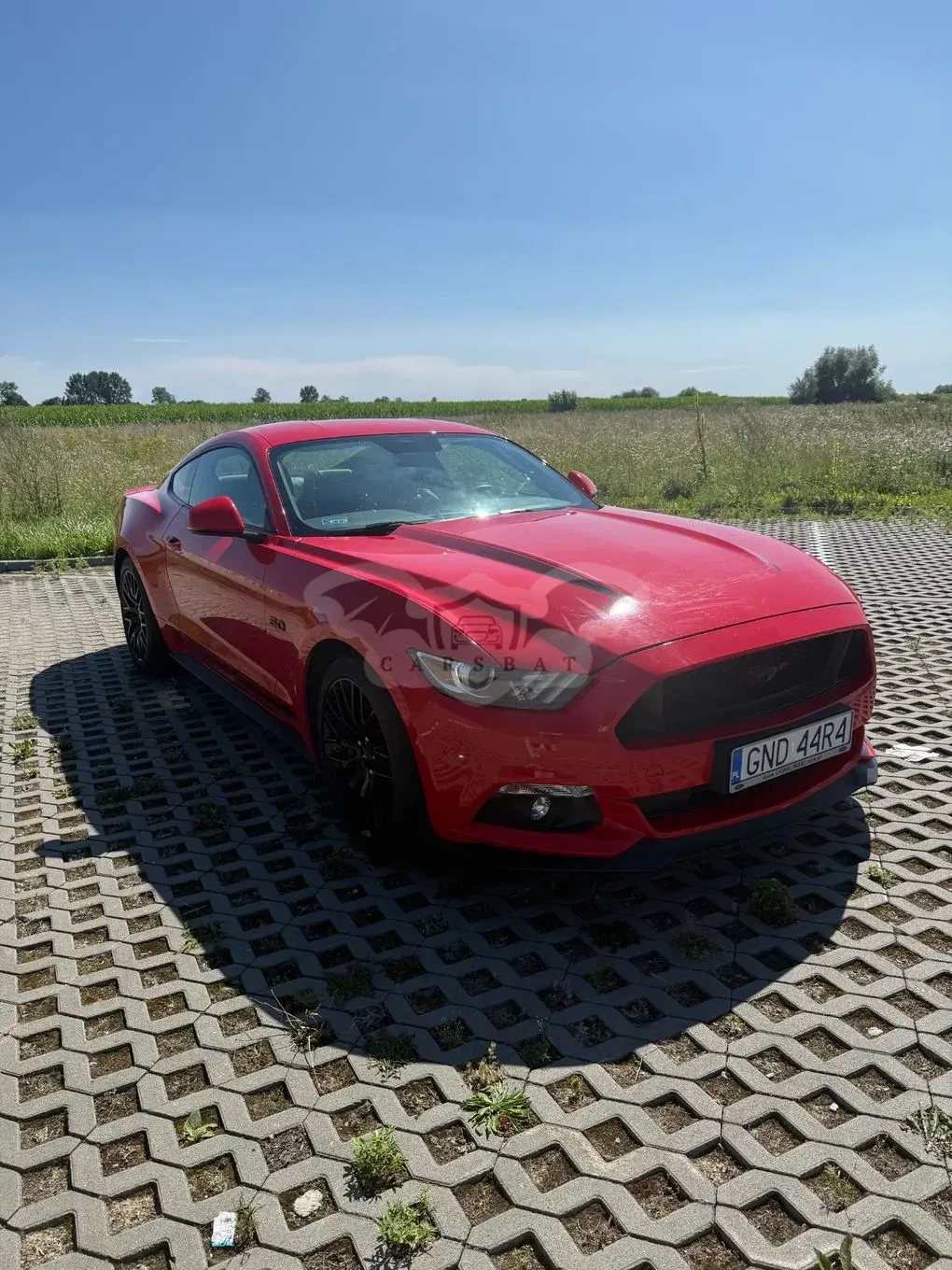 Ford Mustang 5.0 V8 GT 2017