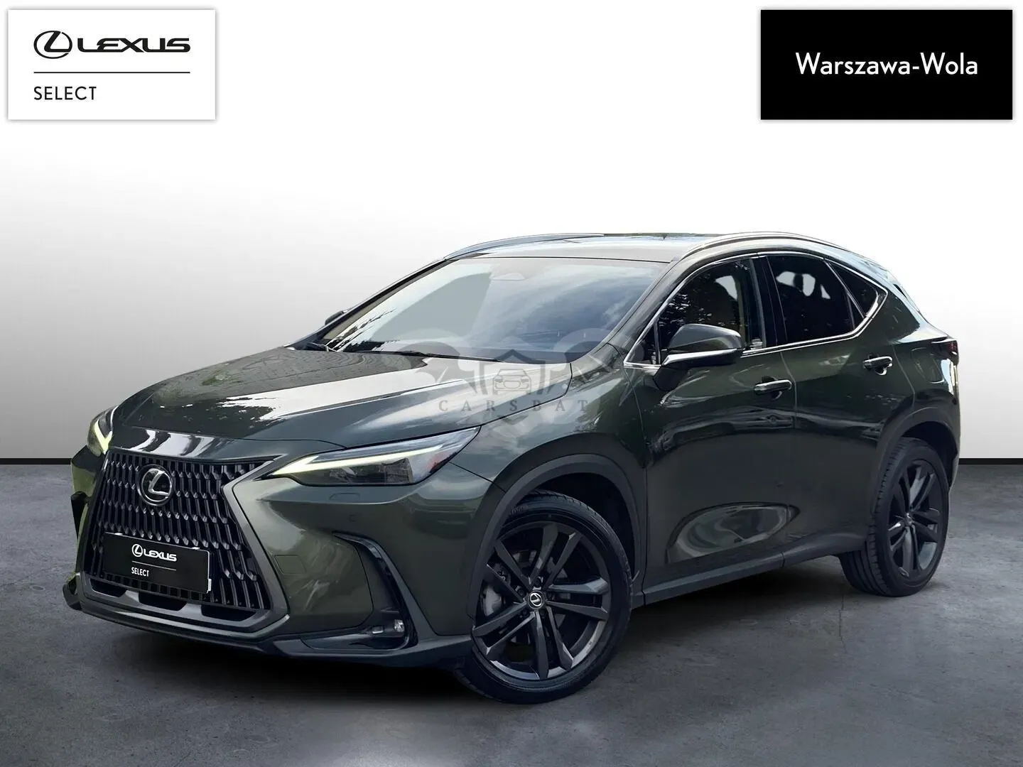 Lexus NX II (2021-) 350h Prestige AWD 2023