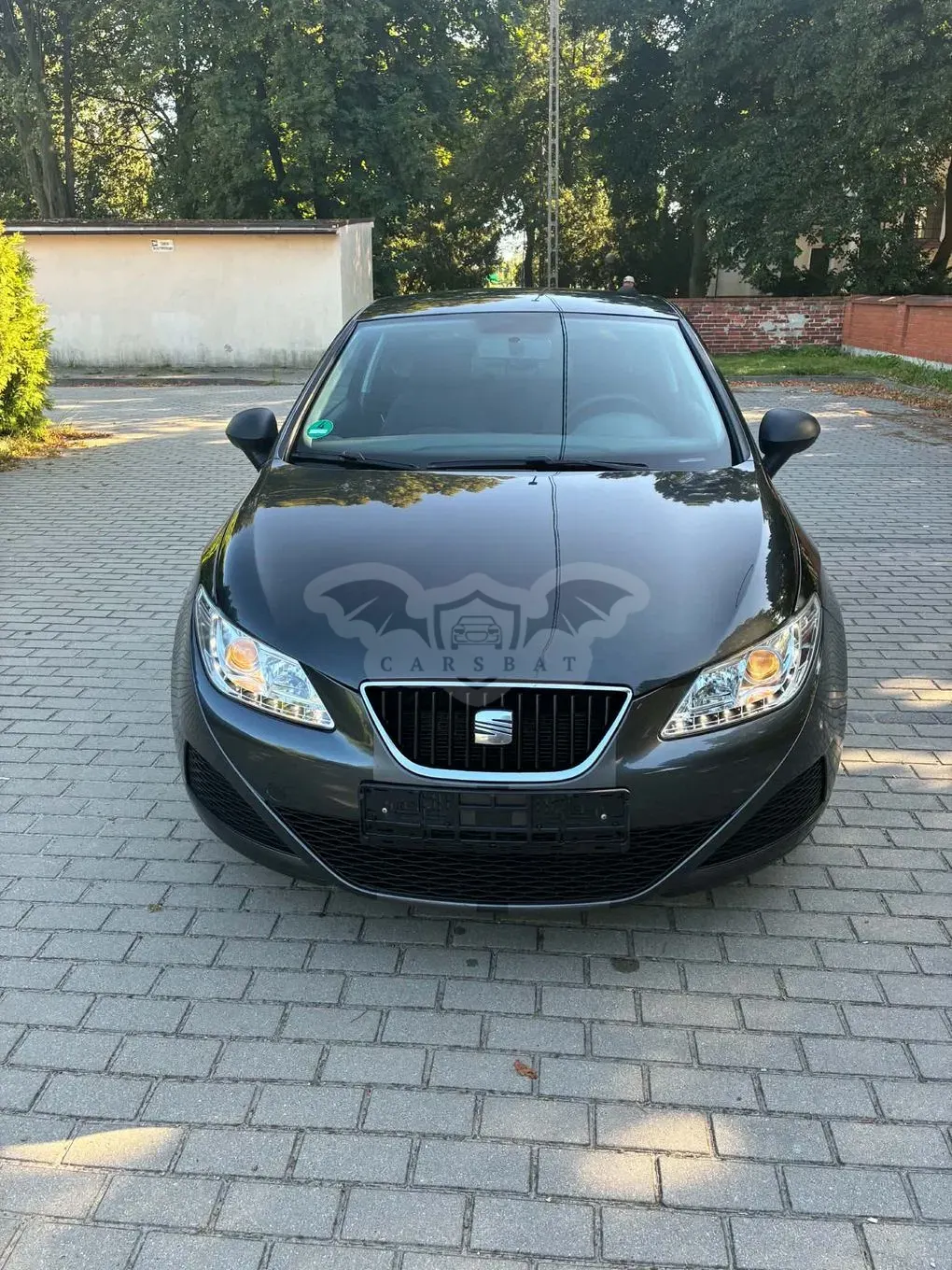 Seat Ibiza IV (2008-2017) 2010