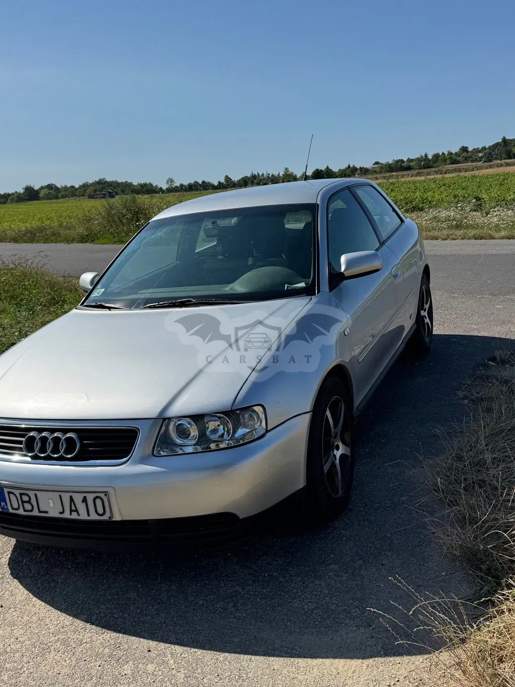 Audi A3 8L (1996-2003) 2001
