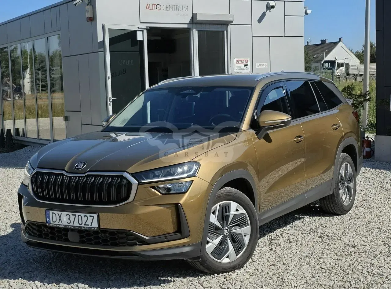Skoda Kodiaq II (2024-) 2.0 TDI 4x4 Selection DSG 2024