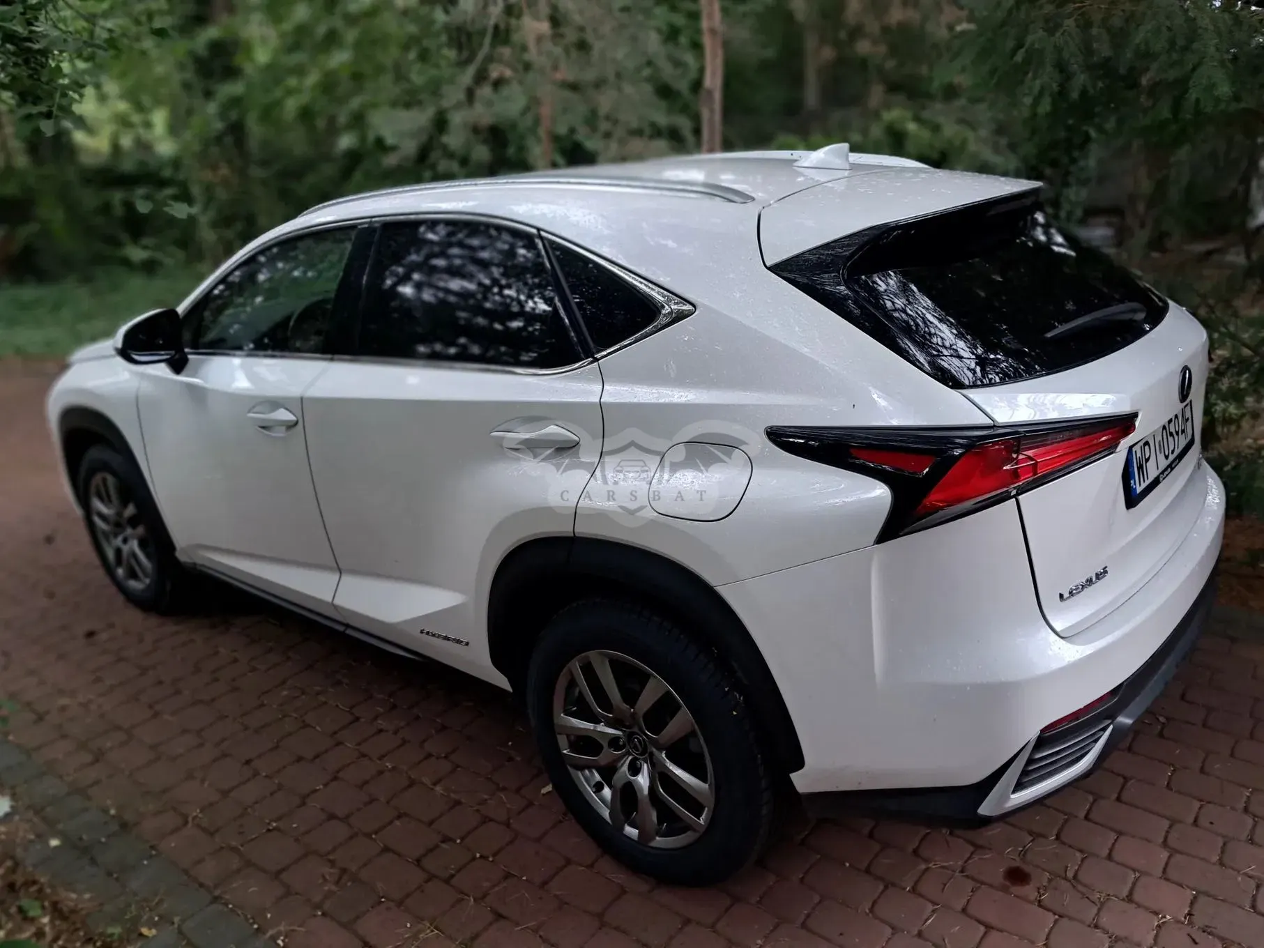 Lexus NX I (2014-2021) 300h Business Edition AWD 2019