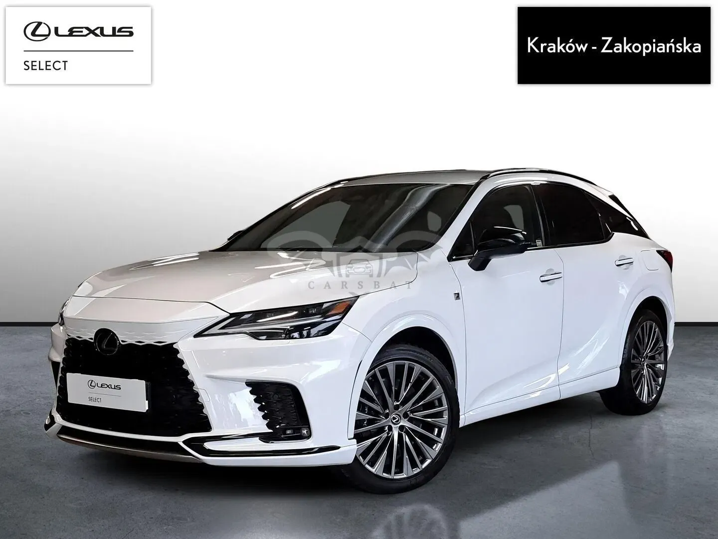 Lexus RX V (2022-) 2024