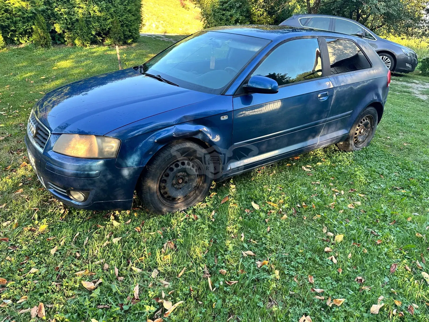 Audi A3 8P (2003-2012) 1.6 Ambiente 2003