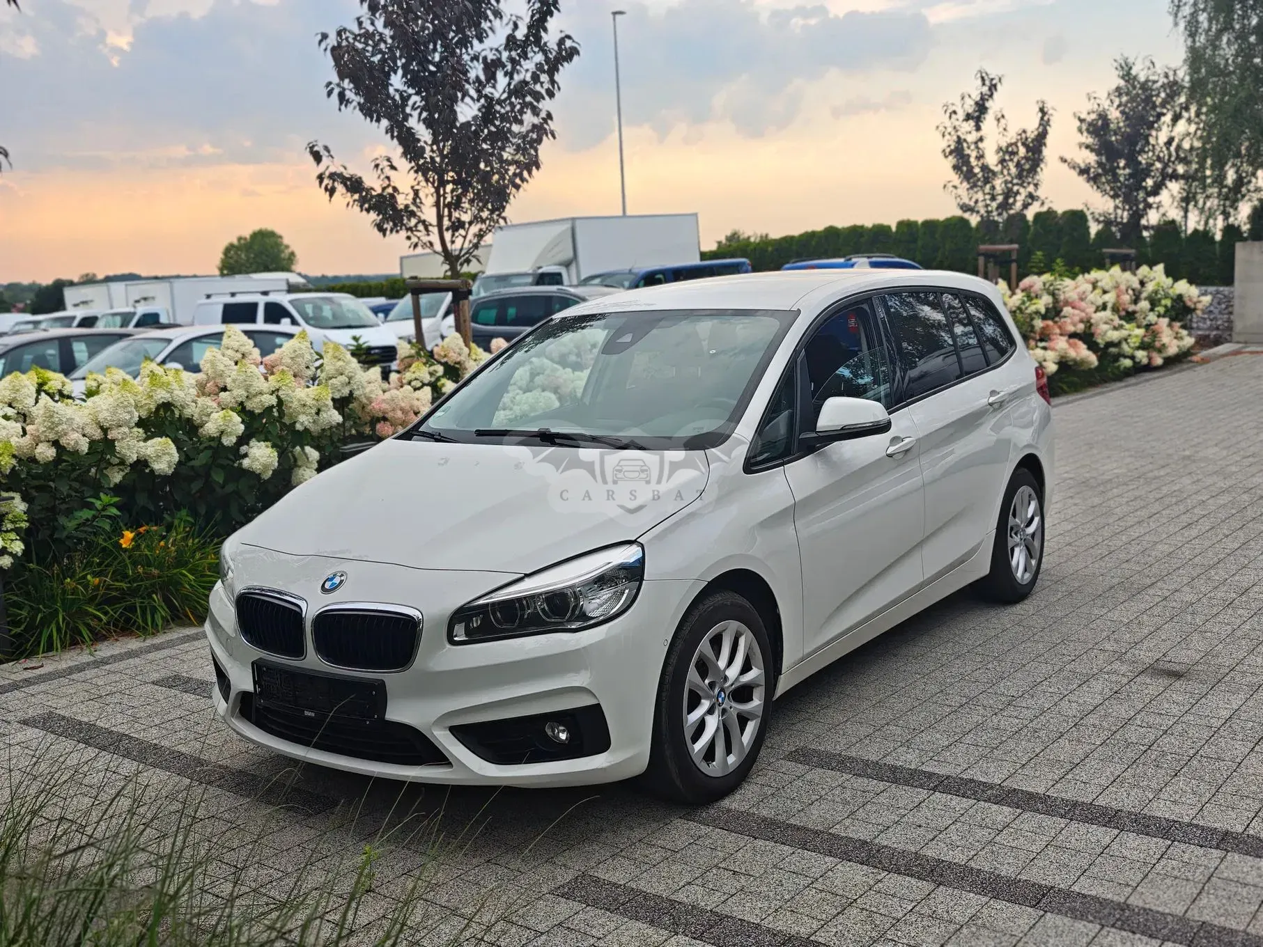 BMW 2 Series 220i Advantage 2016