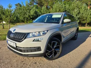 Skoda Kodiaq I (2016-2024) 1.5 TSI ACT 4x2 Ambition DSG 2021