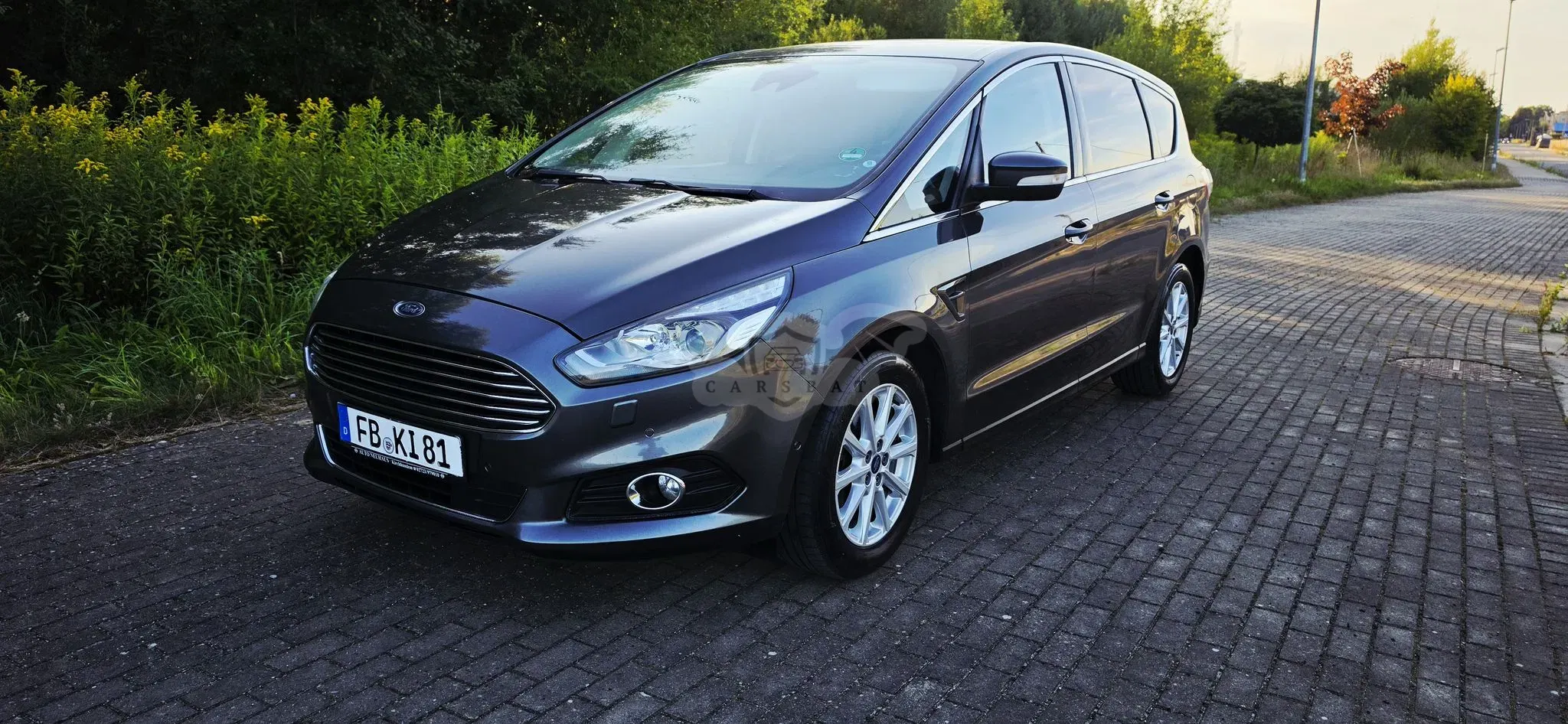 Ford S-Max II (2015-) 2.0 EcoBlue Titanium 2018