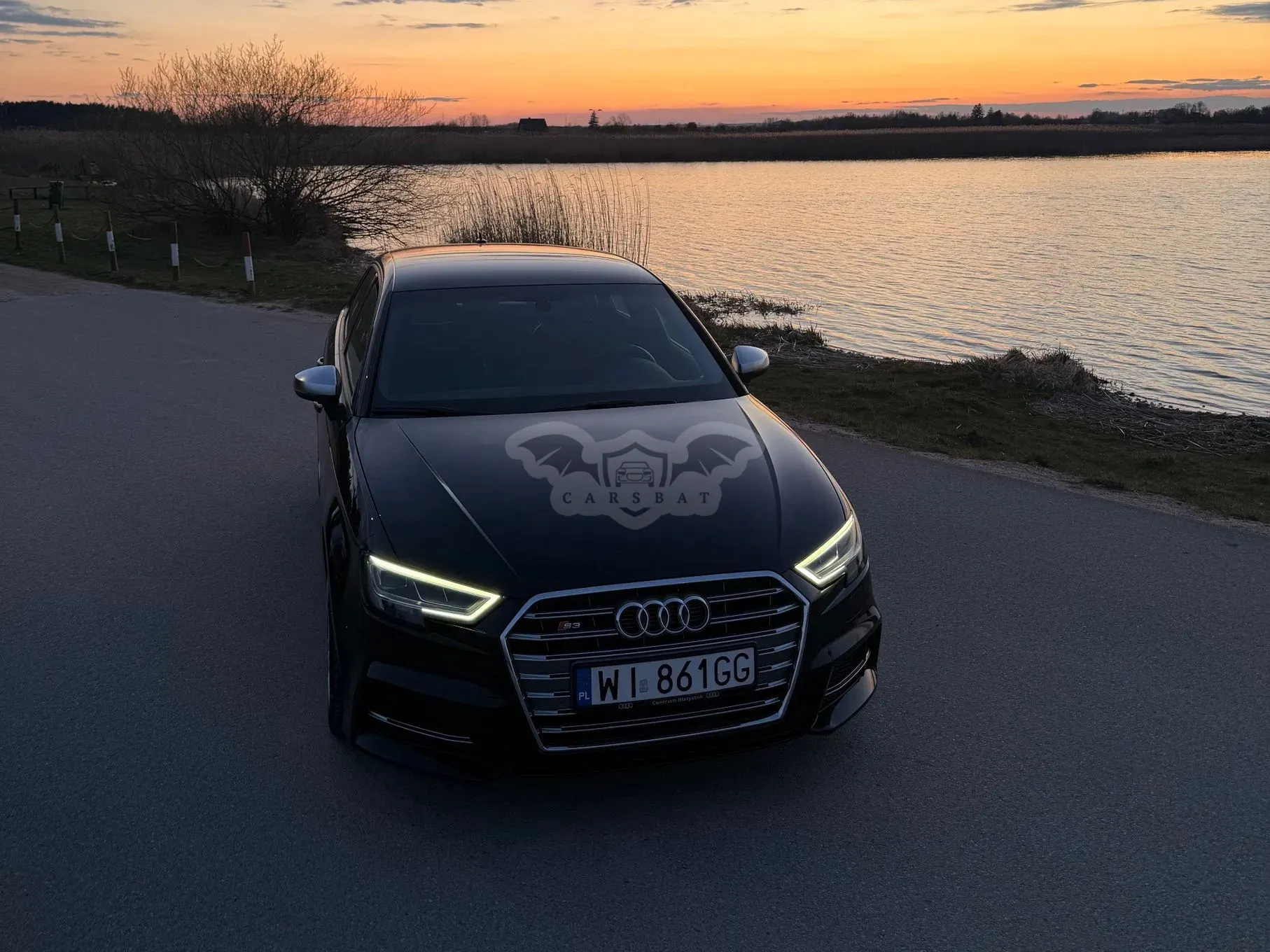 Audi S3 8V (2012-2020) 2017