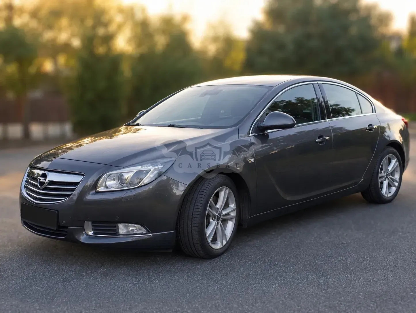 Opel Insignia A (2008-2017) 2.0 T Sport 4x4 2009