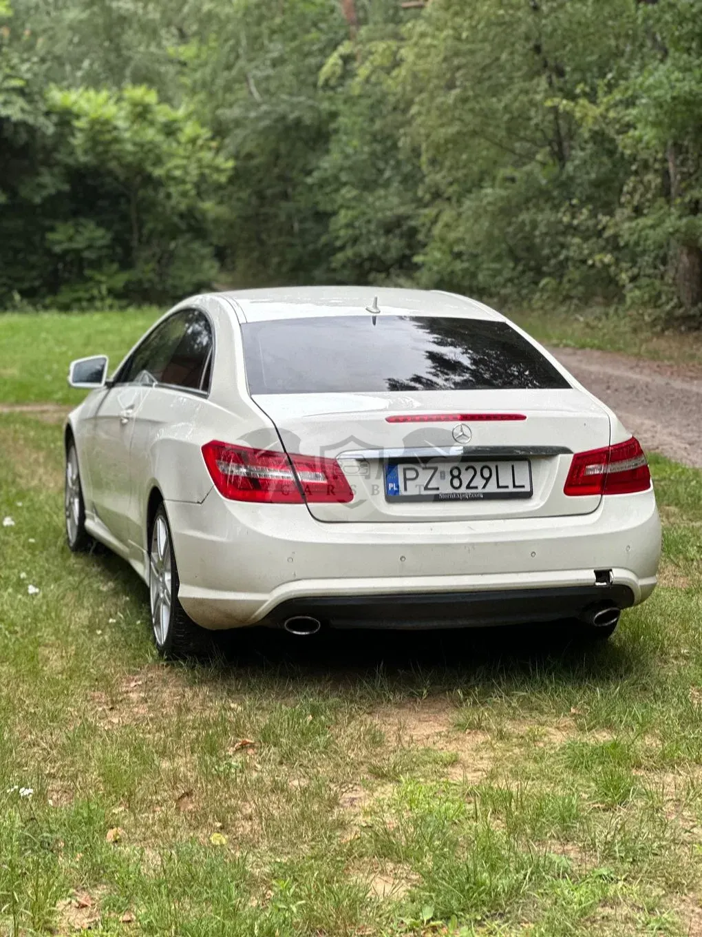 Mercedes-Benz E W212/W207 (2009-2016) 2010