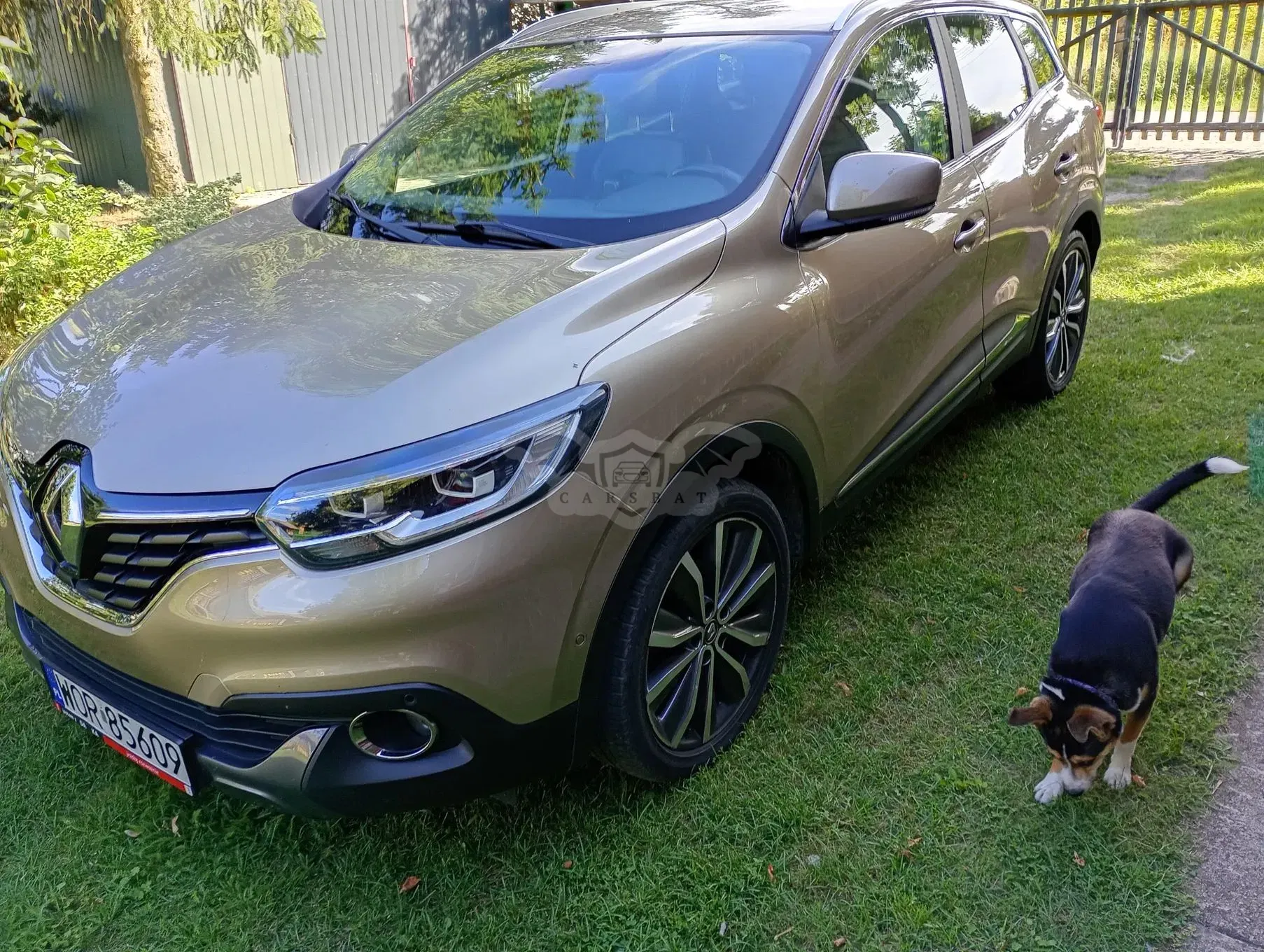 Renault Kadjar 1.5 dCi Energy Zen 2016