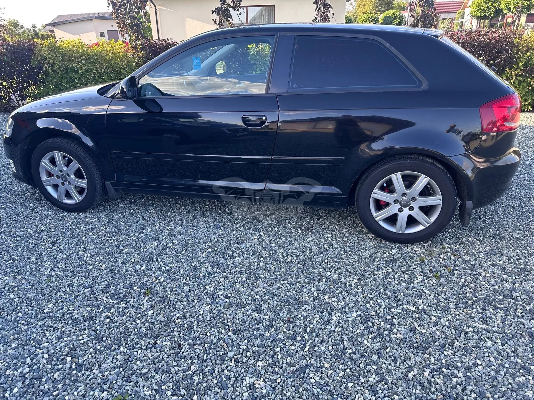 Audi A3 8P (2003-2012) 1.6 Ambition 2008