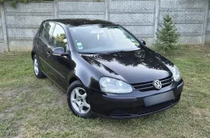 Volkswagen Golf V (2003-2009) 2004