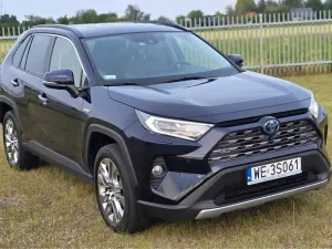 Toyota Rav4 V (2018-) 2.0 Executive 4x4 MS 2021