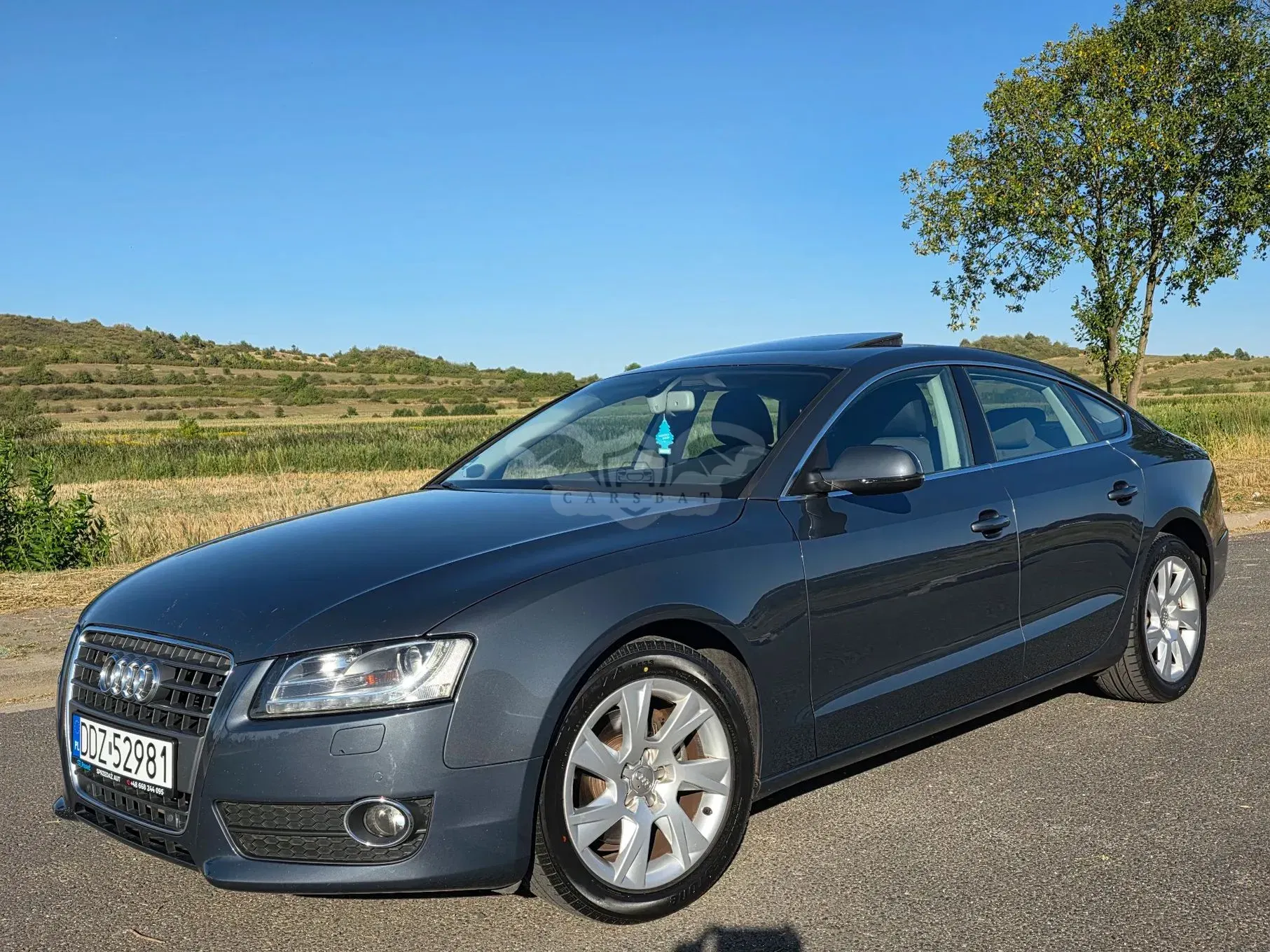 Audi A5 8T (2007-2016) 2.0 TDI DPF 2010