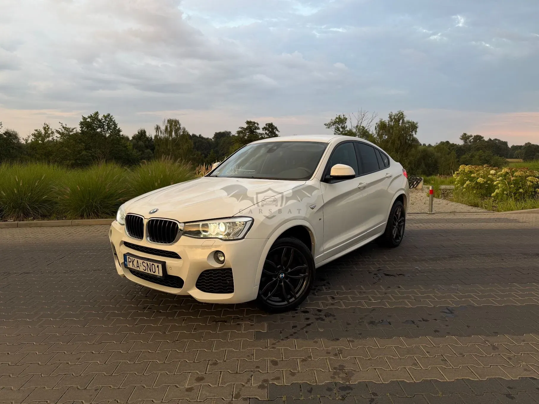 BMW X4 F26 (2014–2018) xDrive20d M Sport 2017