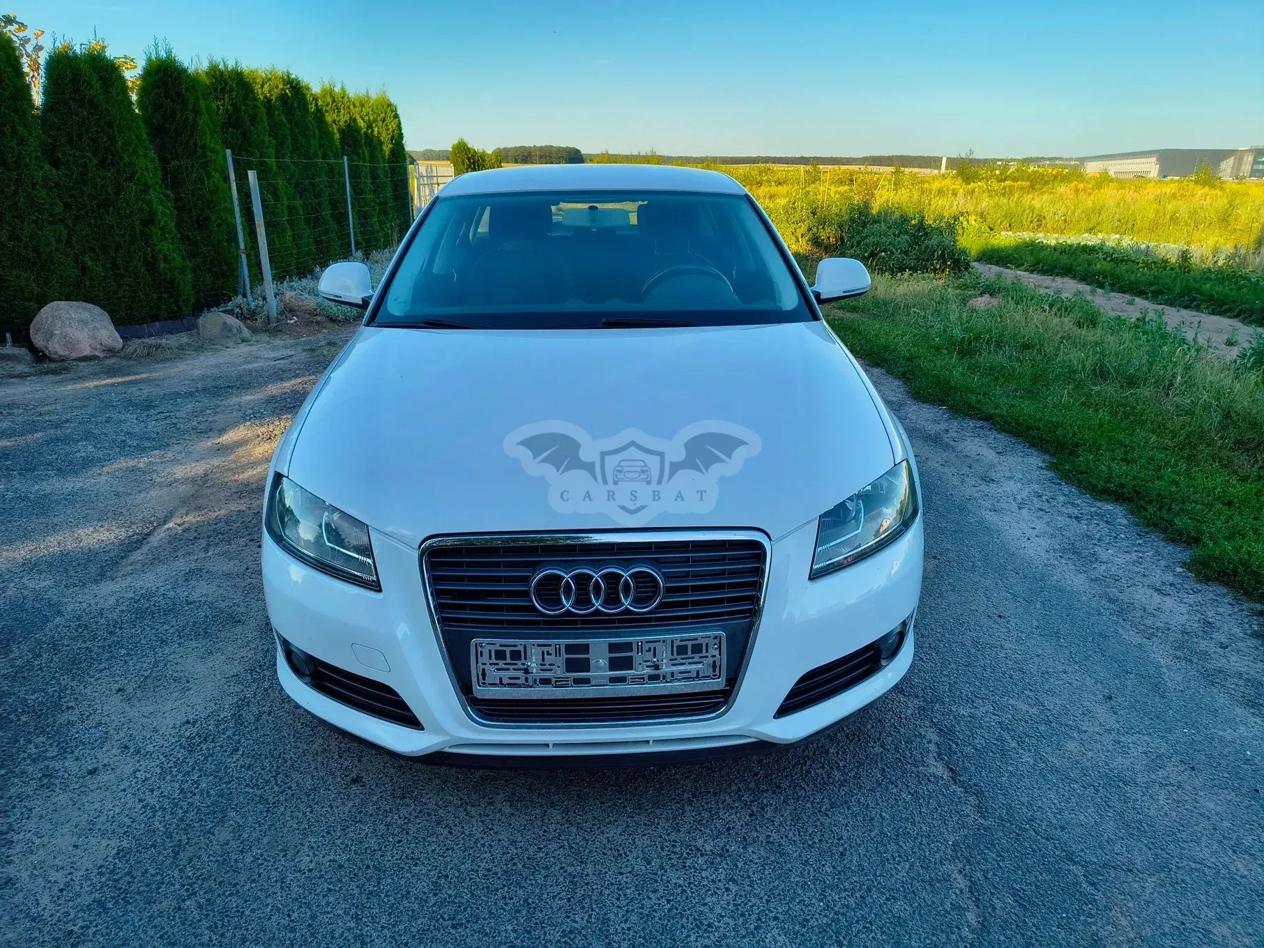 Audi A3 8P (2003-2012) 2009