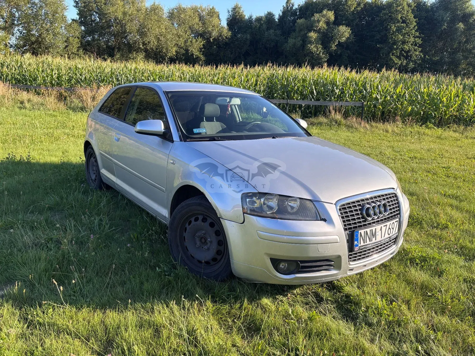 Audi A3 8P (2003-2012) 1.9 TDI Ambiente 2003