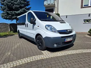 Opel Vivaro I (2001-2014) L2H1 DPF Life 2014