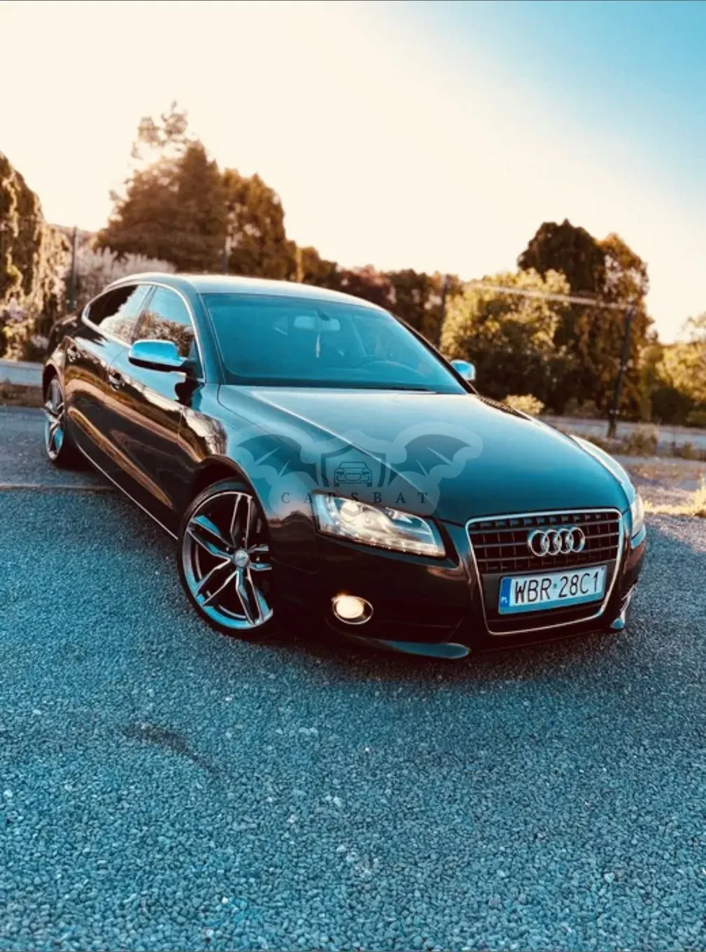 Audi A5 8T (2007-2016) 2010