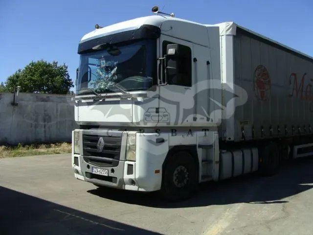 Renault Magnum 2010