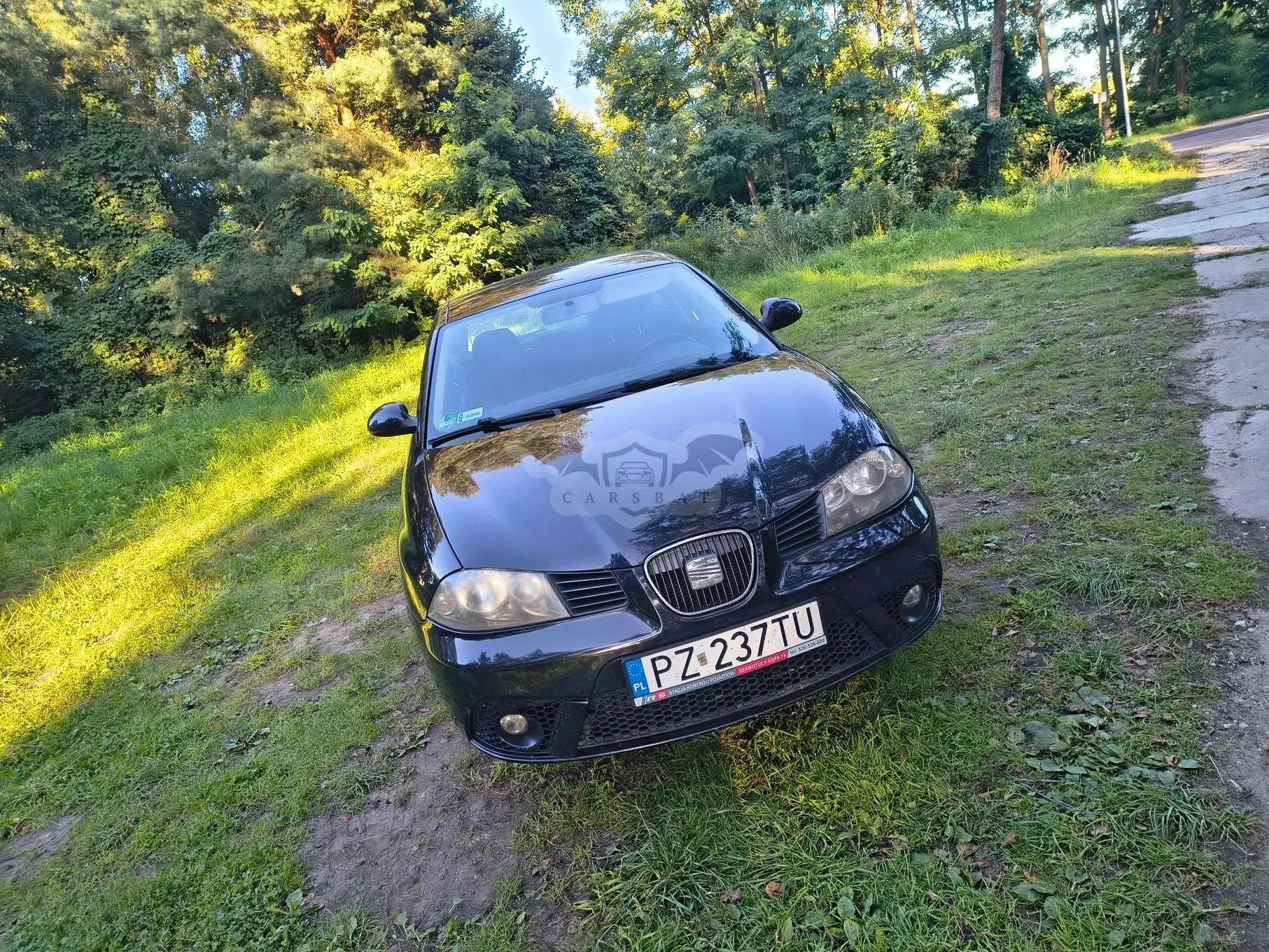 Seat Ibiza III (2002-2008) 1.4 16V Fresc 2006
