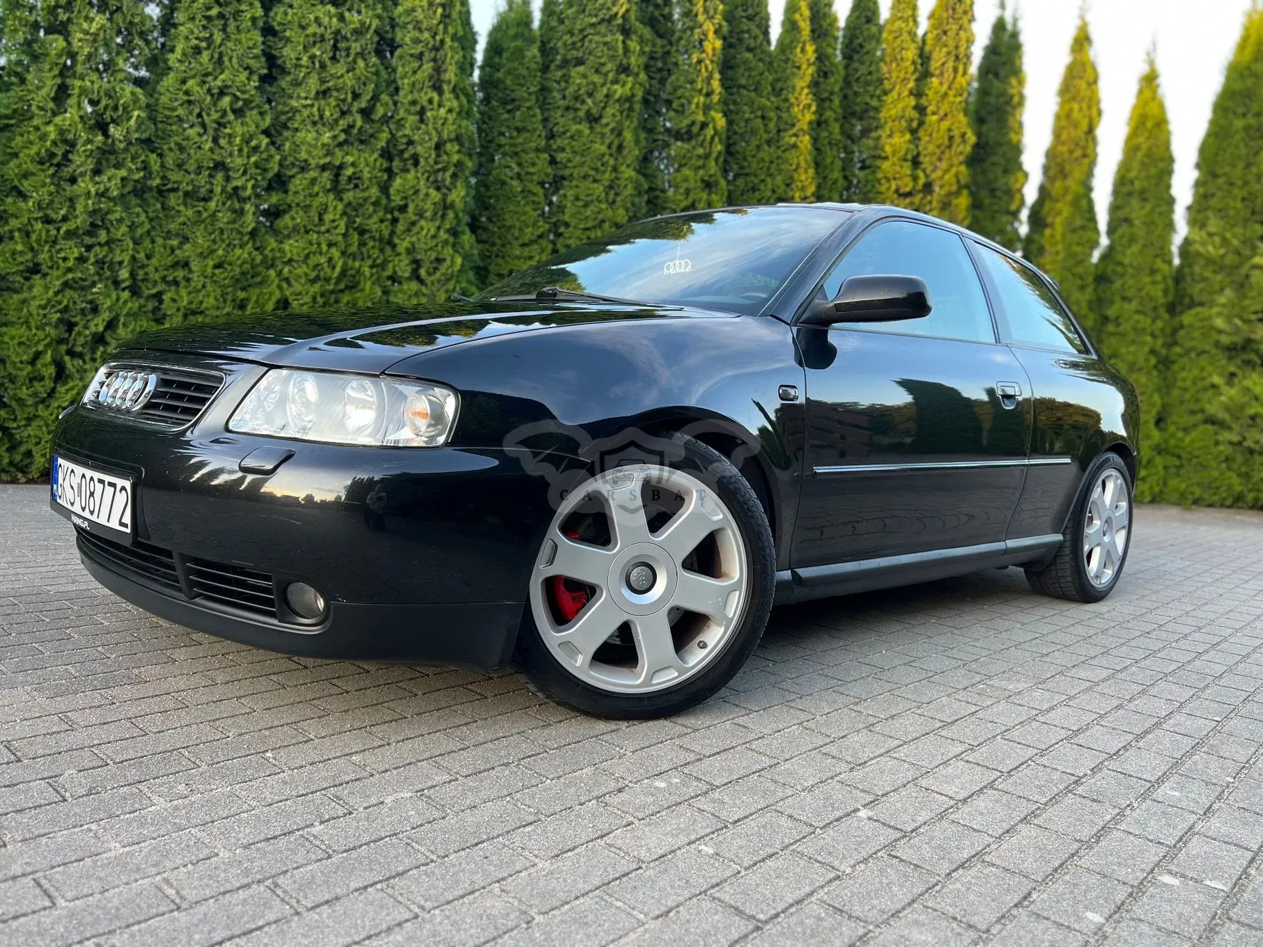Audi A3 8L (1996-2003) 1.9 TDI Quattro Ambition 2001