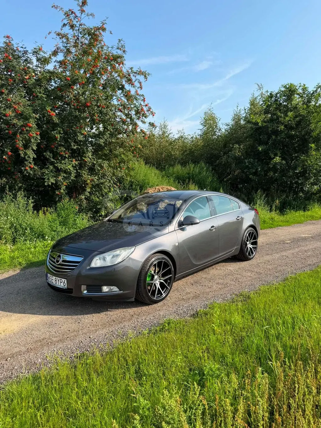 Opel Insignia A (2008-2017) 2.0 T Sport 4x4 2009