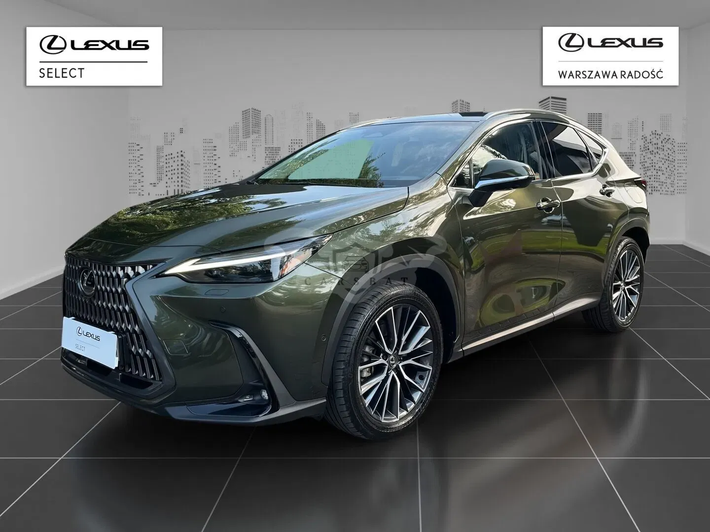 Lexus NX II (2021-) 2024