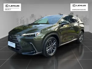Lexus NX II (2021-) 2024