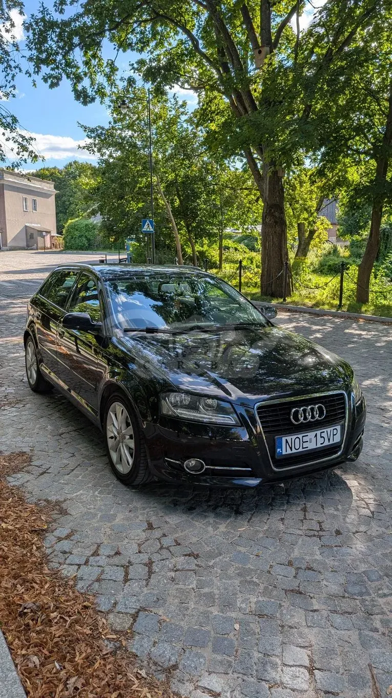 Audi A3 8P (2003-2012) 2012