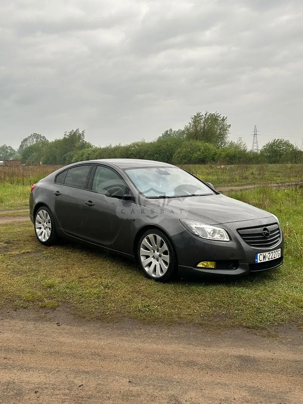 Opel Insignia A (2008-2017) 2.0 T Cosmo 4x4 2009