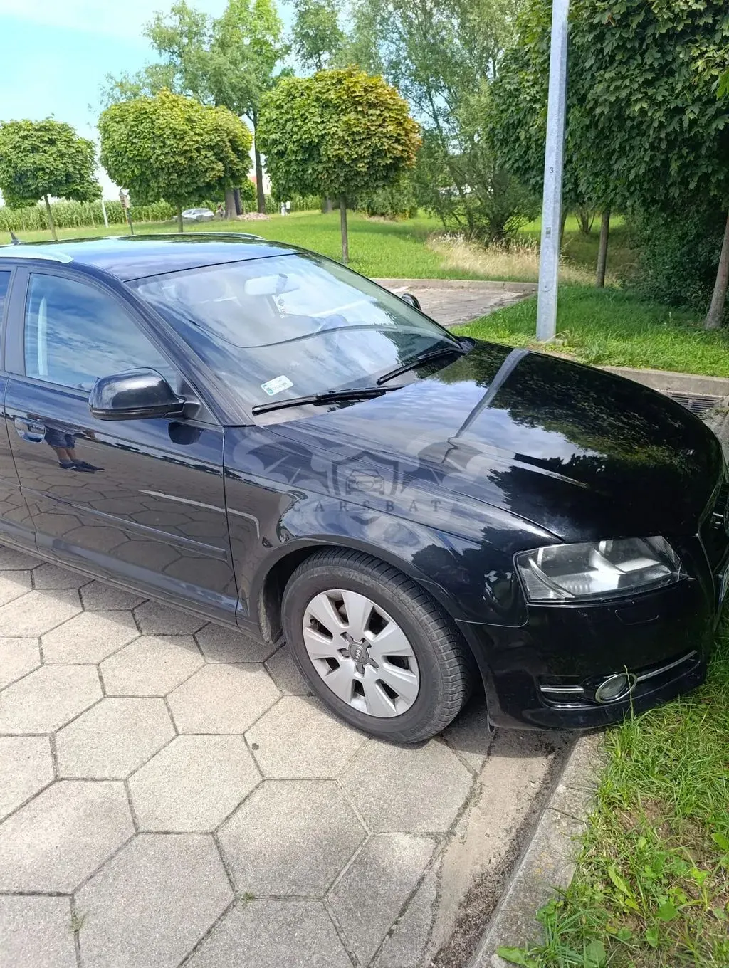 Audi A3 8P (2003-2012) 2010