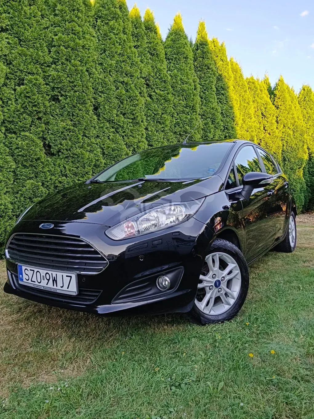 Ford Fiesta Mk7 (2008-) 1.0 Gold X 2015