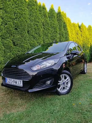 Ford Fiesta Mk7 (2008-) 1.0 Gold X 2015