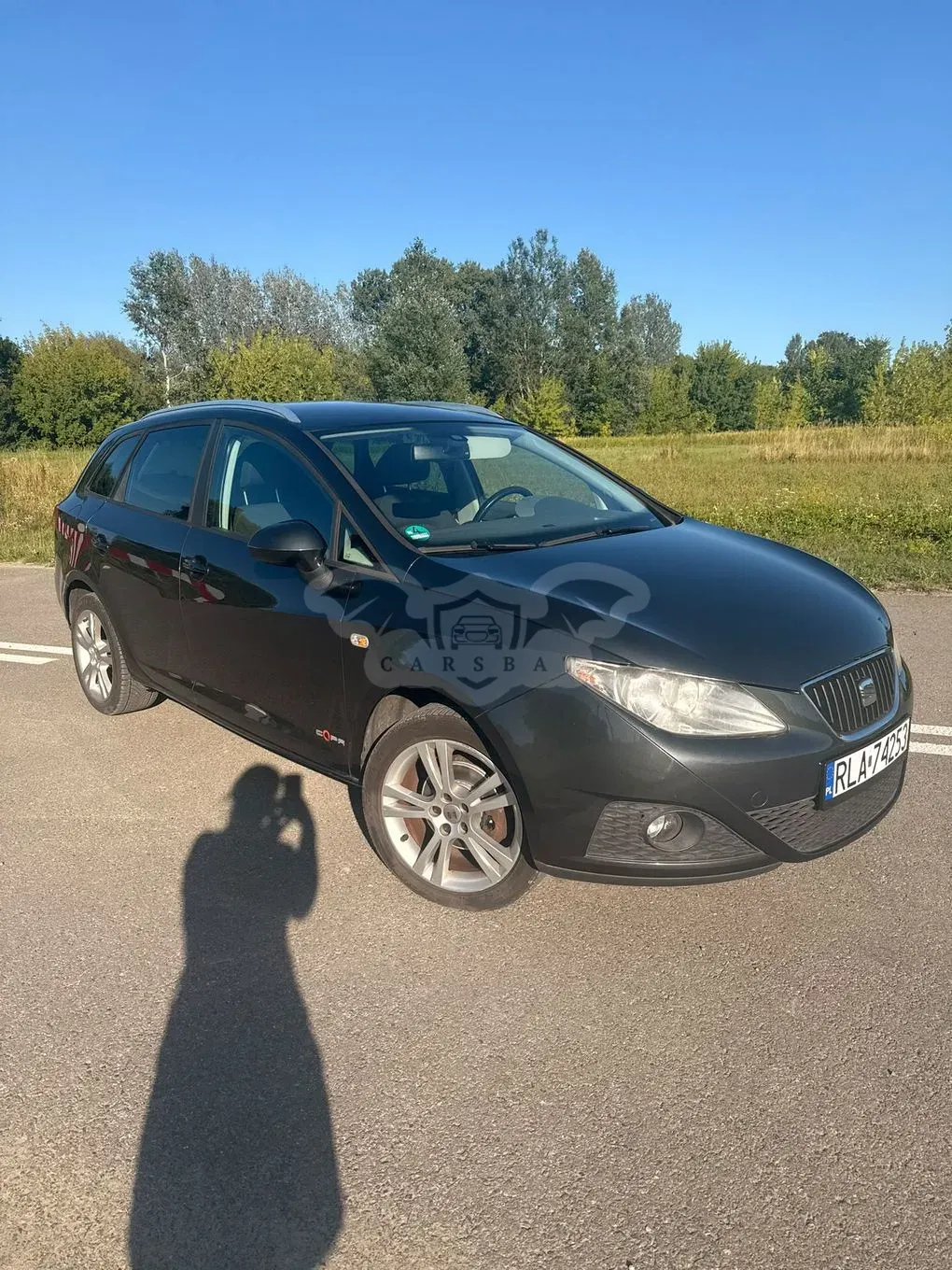 Seat Ibiza IV (2008-2017) 2011