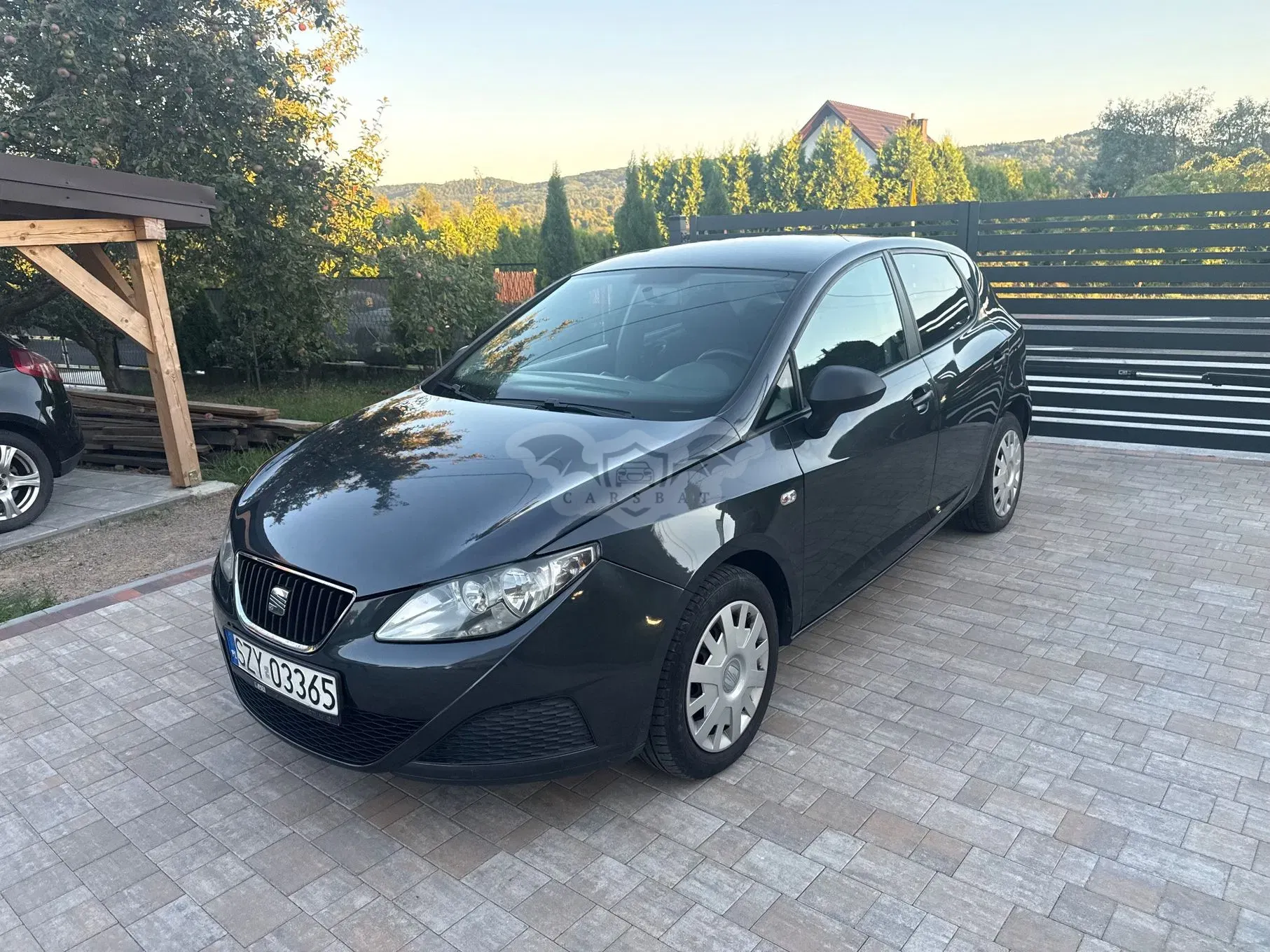 Seat Ibiza IV (2008-2017) 1.4 16V Passion 2009