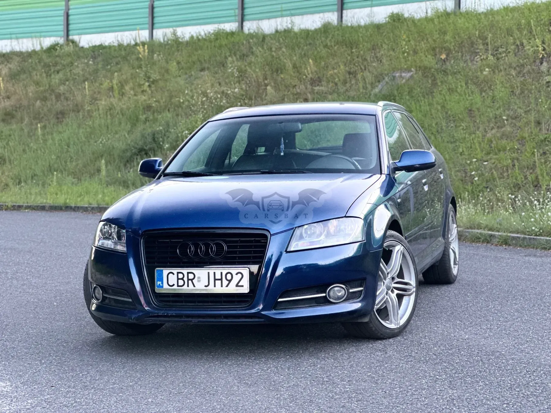 Audi A3 8P (2003-2012) 2010