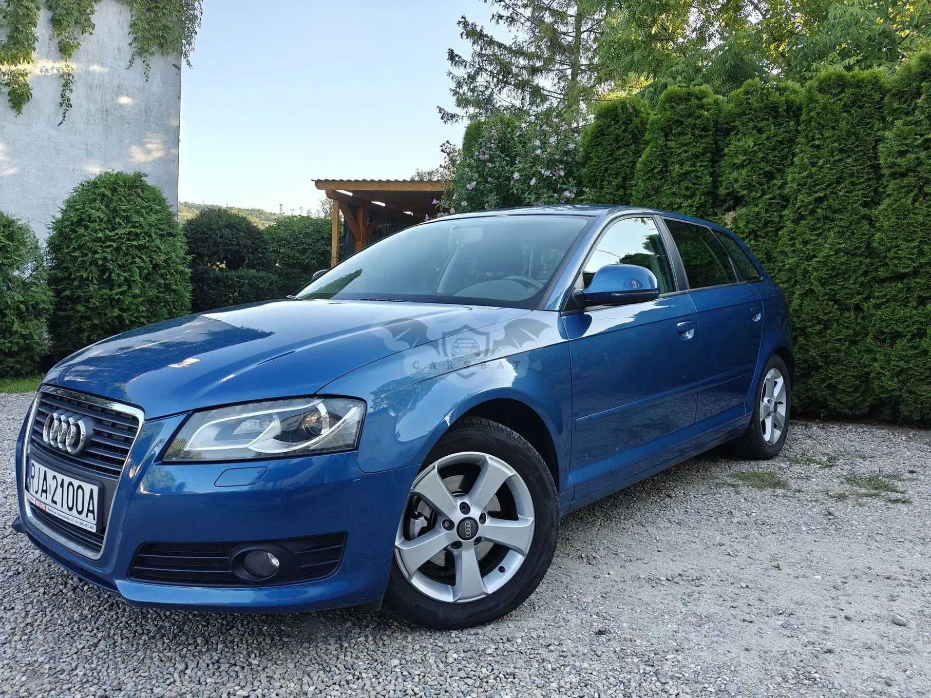 Audi A3 8P (2003-2012) 1.6 Ambition 2009