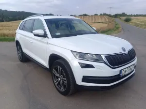 Skoda Kodiaq I (2016-2024) 2.0 TDI 4x4 Ambition DSG 2018