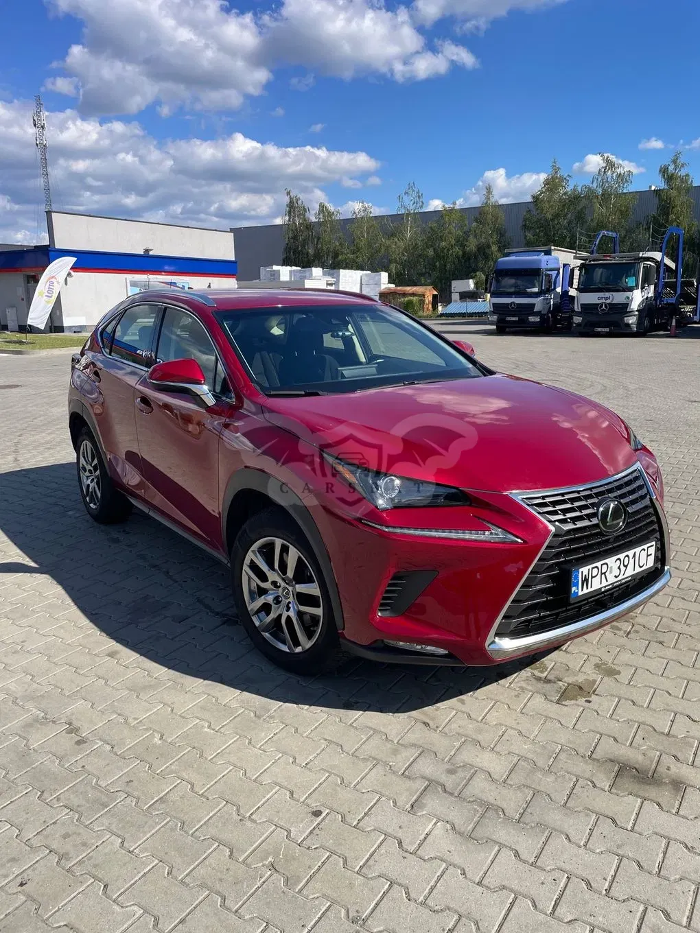 Lexus NX I (2014-2021) 300 Business Edition AWD 2019