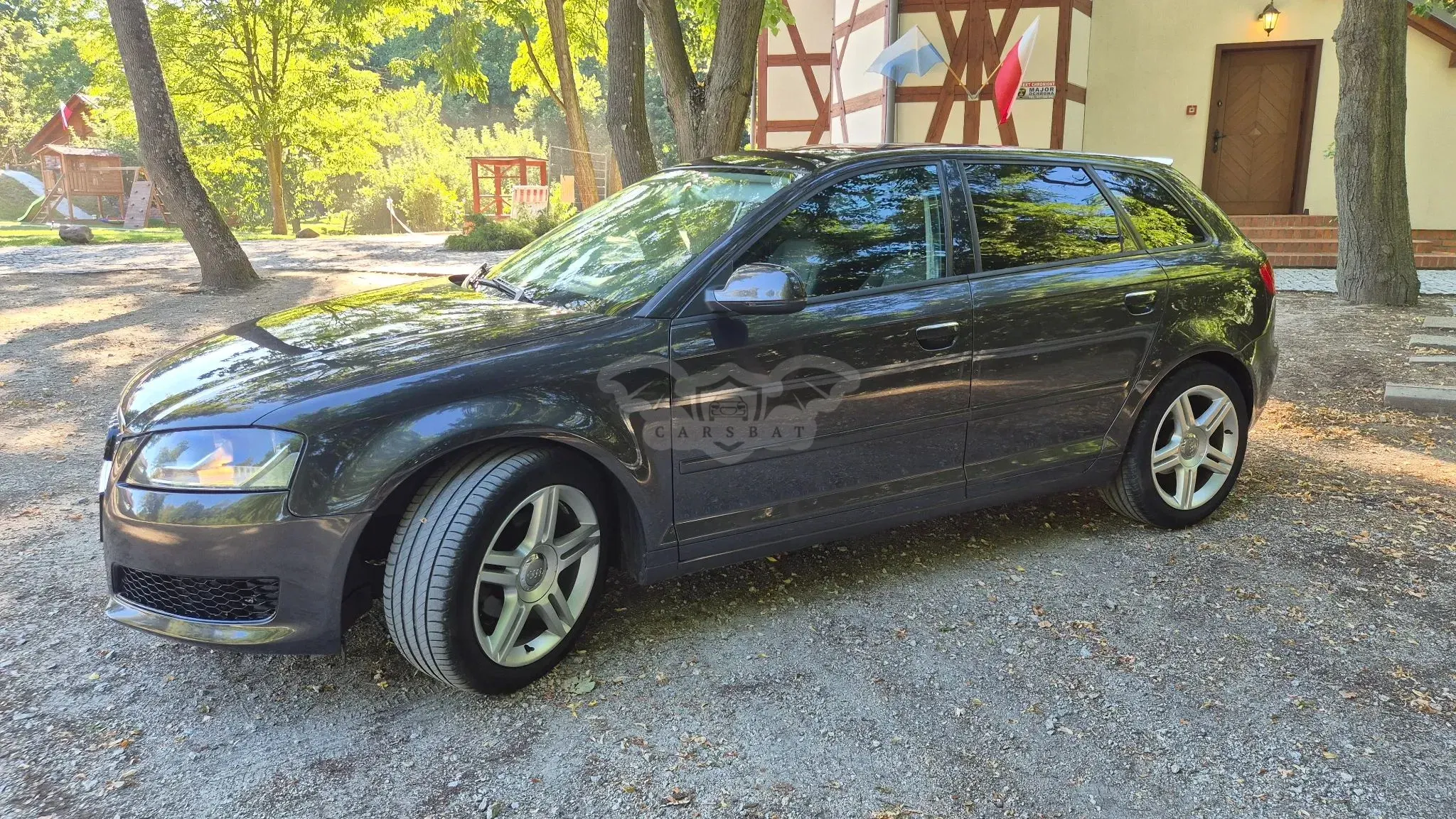 Audi A3 8P (2003-2012) 2011
