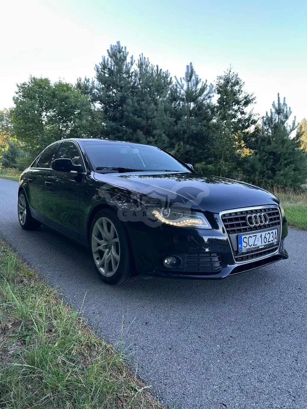 Audi A4 B8 (2007-2015) 2010