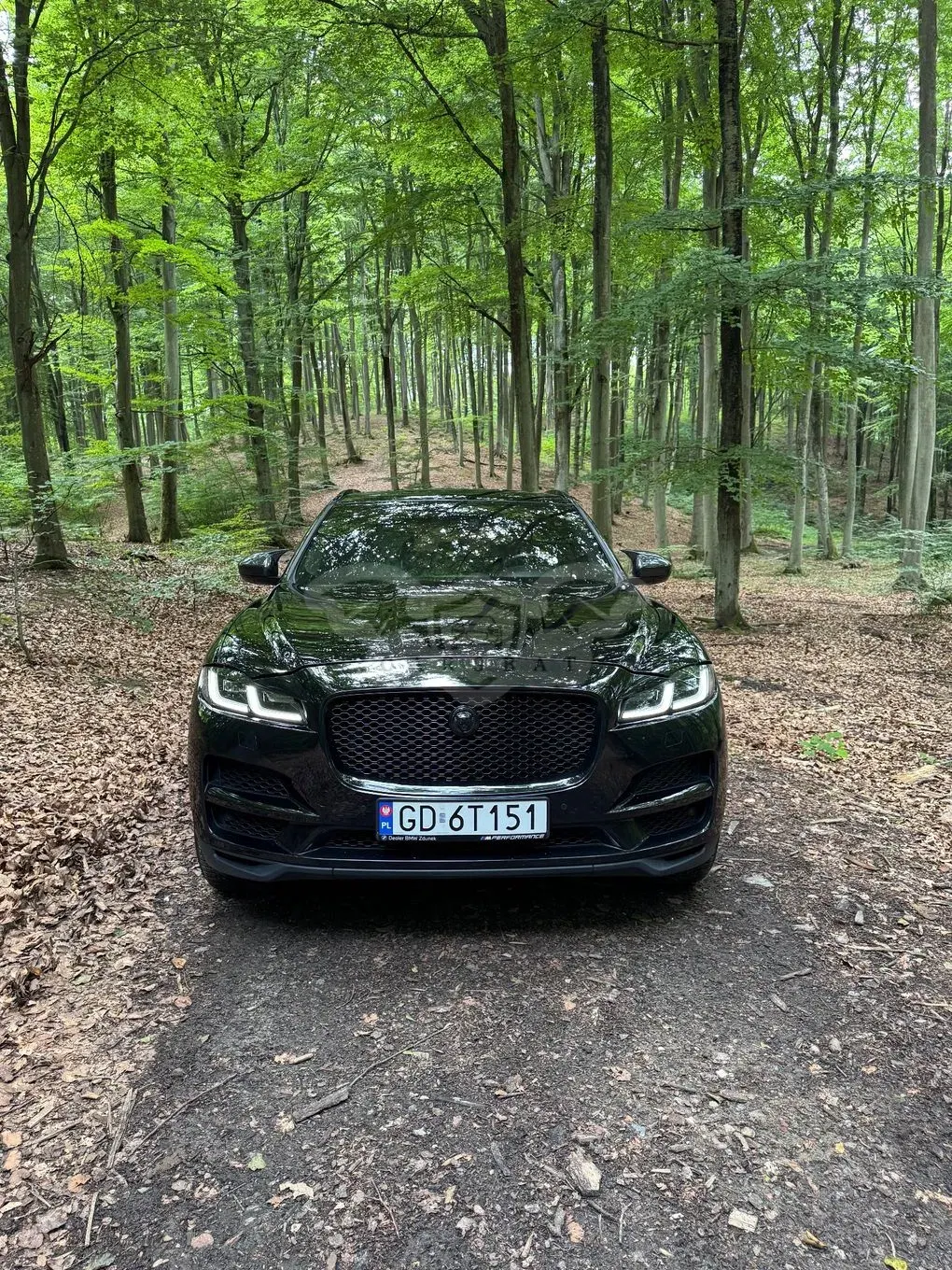 Jaguar F-Pace 2.0 i4P AWD Prestige 2018
