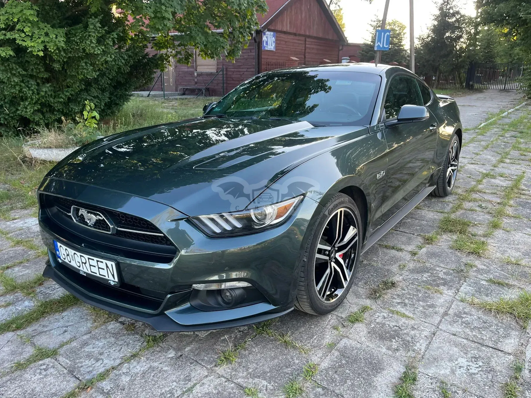 Ford Mustang 5.0 V8 GT 2015