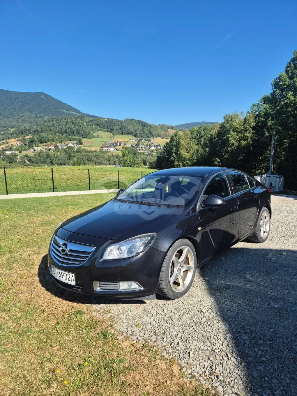 Opel Insignia A (2008-2017) 2.0 CDTI Sport 2010