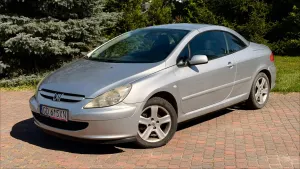 Peugeot 307 2004