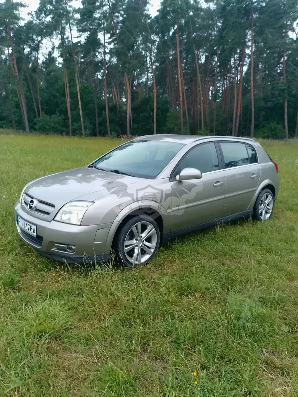 Opel Signum 1.8 2004
